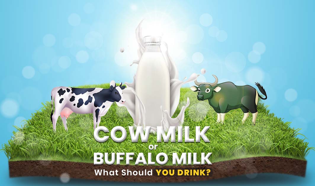 You are currently viewing BUFFALO MILK VS. COW MILK: DILLIFRESH